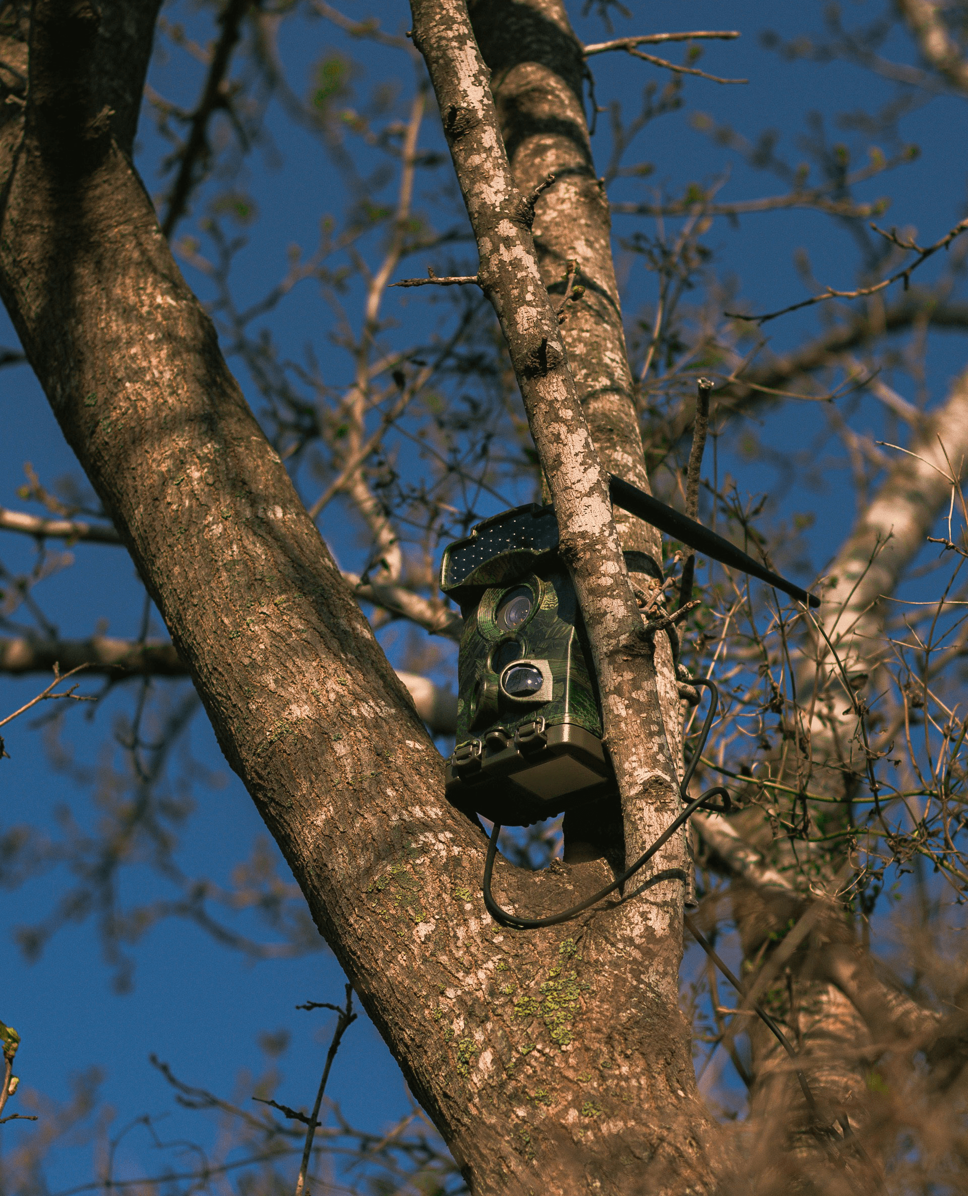 Outdoor Monitor Battery